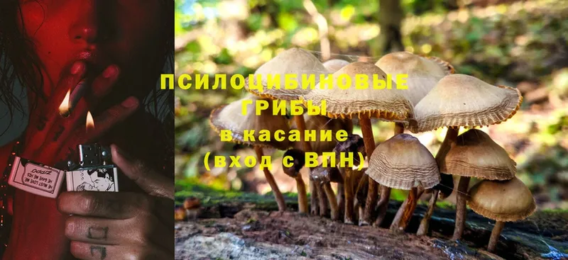 Псилоцибиновые грибы GOLDEN TEACHER  Княгинино 