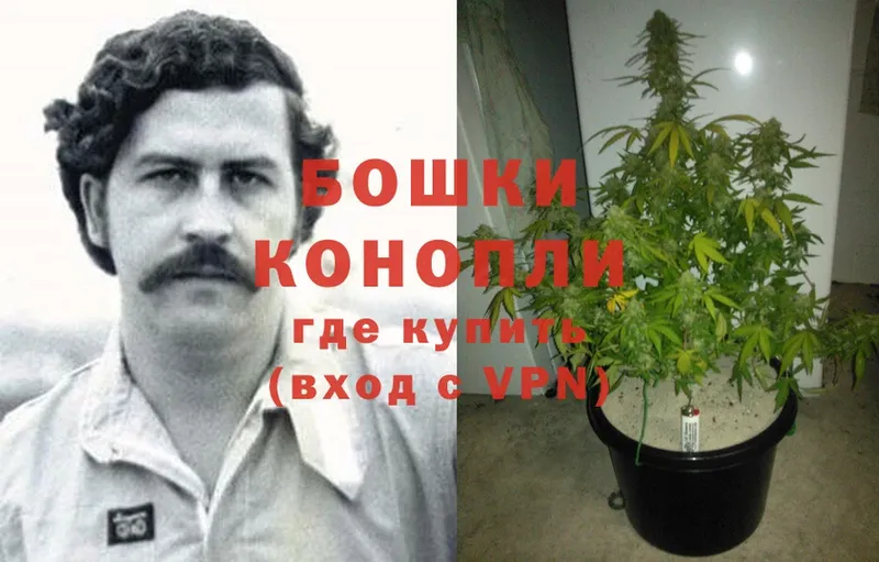 МАРИХУАНА OG Kush  Княгинино 